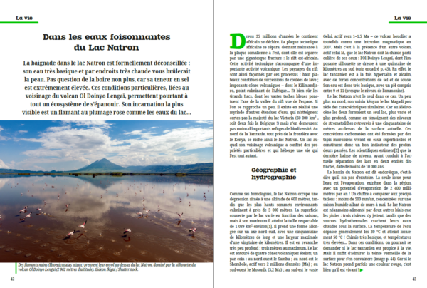 Une double page extraite de kīpuka #6.