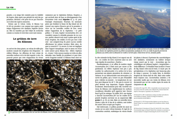 Une double page extraite de kīpuka #10.