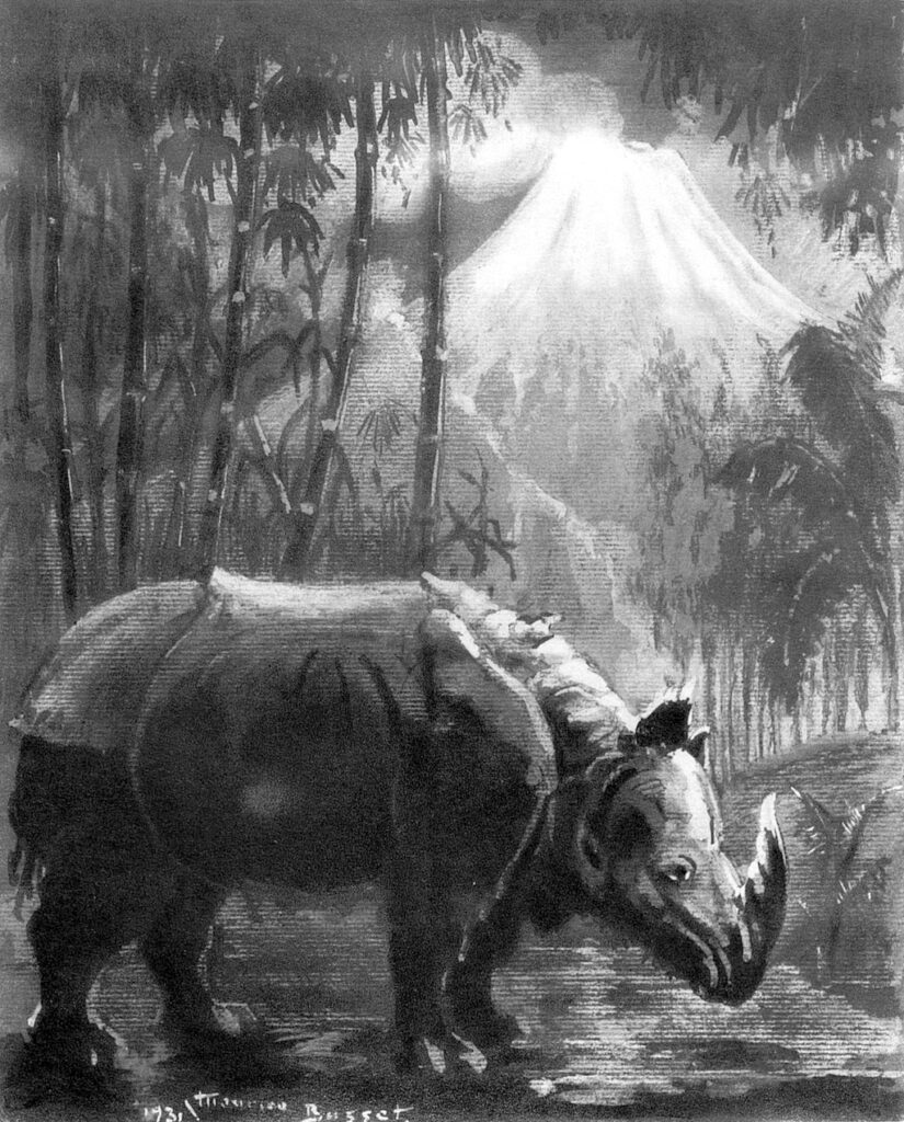 Dessin de Maurice Busset. Au premier plan, un rhinocéros. Derrière, un forêt tropicale (bambous, palmiers...) et la silhouette d'un grand cône volcanique.